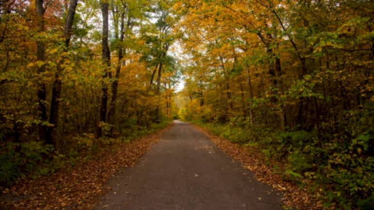 BELGRAD ORMANI – NEREDE, NASIL GİDİLİR, YEME İÇME