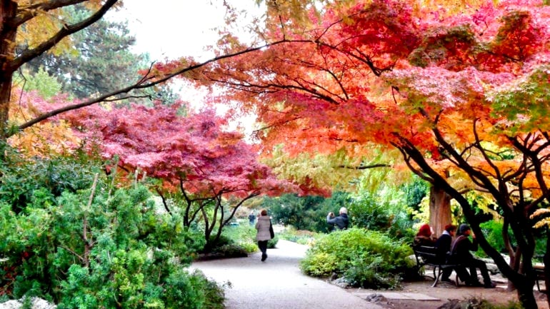 MARGARET ADASI – BUDAPEŞTE’NİN MERKEZİNDEKİ KAÇAMAK ADASI