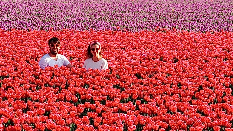 KEUKENHOF & LALELER & ÇİÇEK ROTASI – HOLLANDA