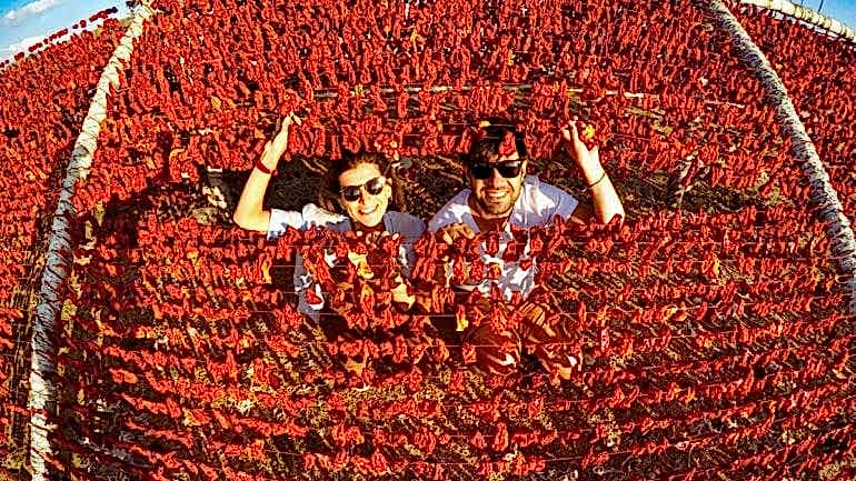 GAZİANTEP’TEN NE ALINIR & NEREDEN ALINIR