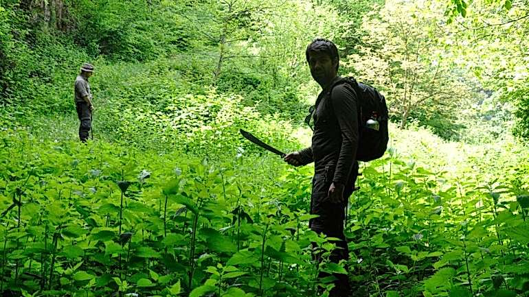 DOĞADA HAYATTA KALMA EĞİTİMİ – ISSIZ ADA, SEN Mİ BÜYÜKSÜN, BİZ Mİ?