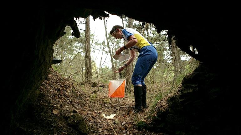 ORYANTİRİNG & MACERA YARIŞI – BİLGİLER & ETKİNLİKLER