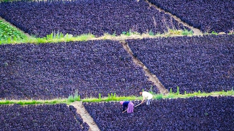 ARAPGİR – MALATYA’NIN GÜZEL VE HÜZÜNLÜ İLÇESİ