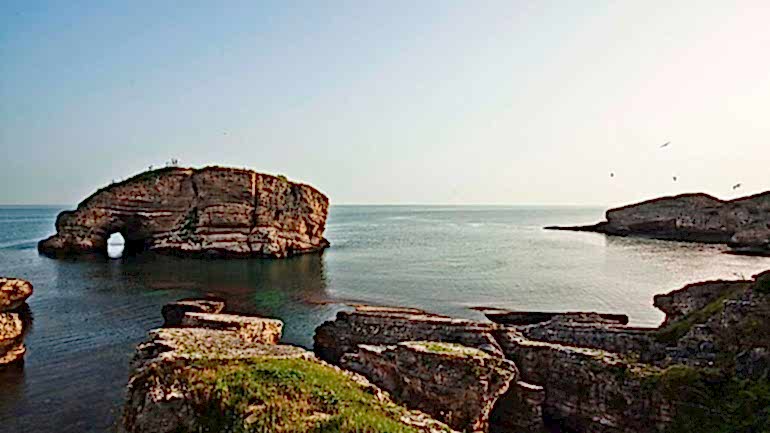 İSTANBUL’A YAKIN GÜNÜBİRLİK KAÇAMAK YERLERİ ➝ SARDALA KOYU