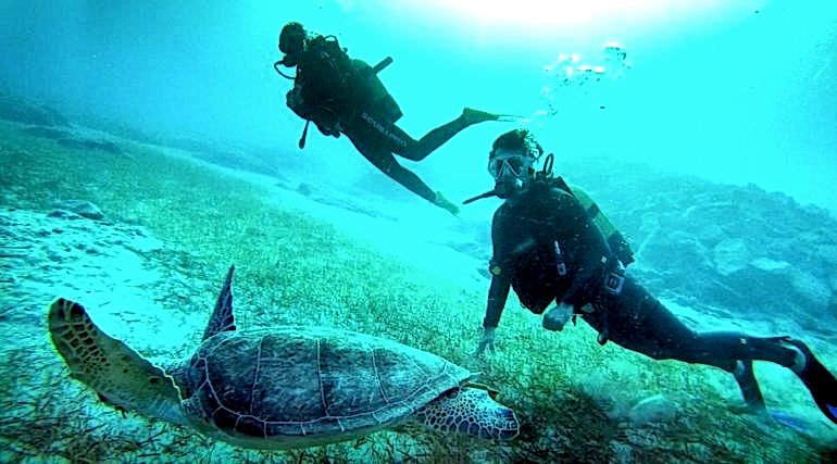 KAŞ’TA SCUBADIVING – TÜPLÜ DALIŞ